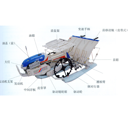 利洋2ZS-4手扶式水稻插秧机图片