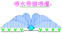 易润黑龙江玉米微喷带应用图片