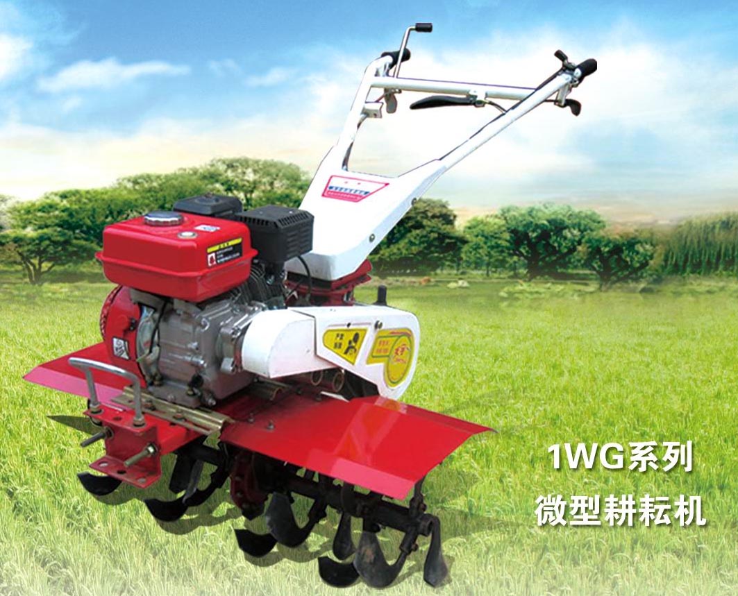 双通1WG-4微型耕耘机图片