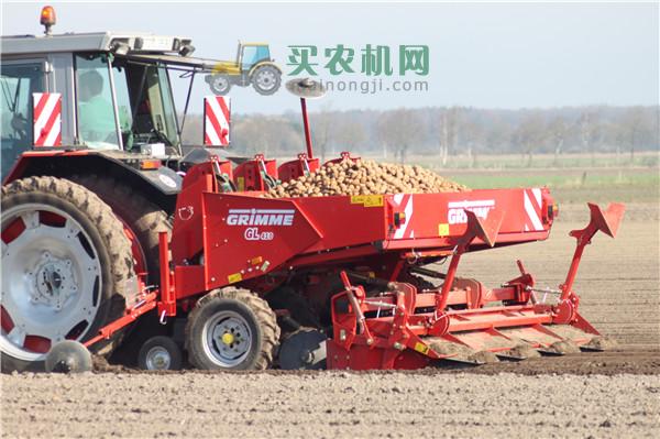 GRIMME（格立莫）GL410马铃薯播种机图片