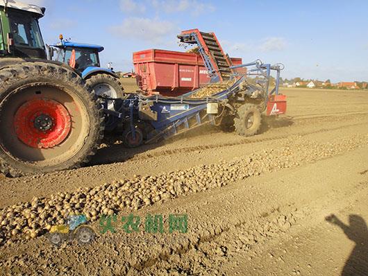 GRIMME（格立莫）SL 122系列圆葱装车机图片