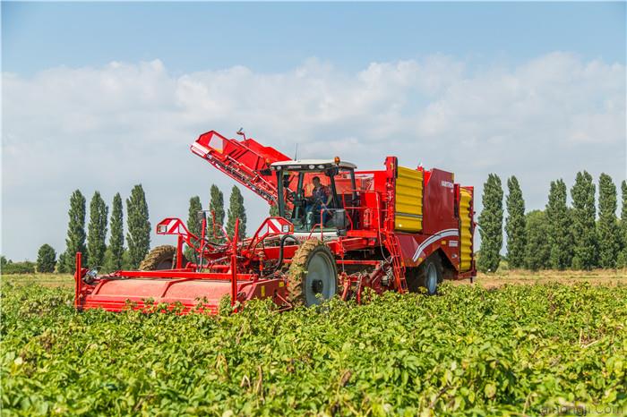 GRIMME（格立莫）VARITRON470自走式马铃薯收获机图片